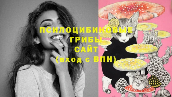 mdpv Белоозёрский