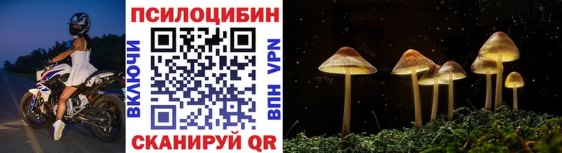 дарнет шоп  mega зеркало  Псилоцибиновые грибы Cubensis  Торопец 